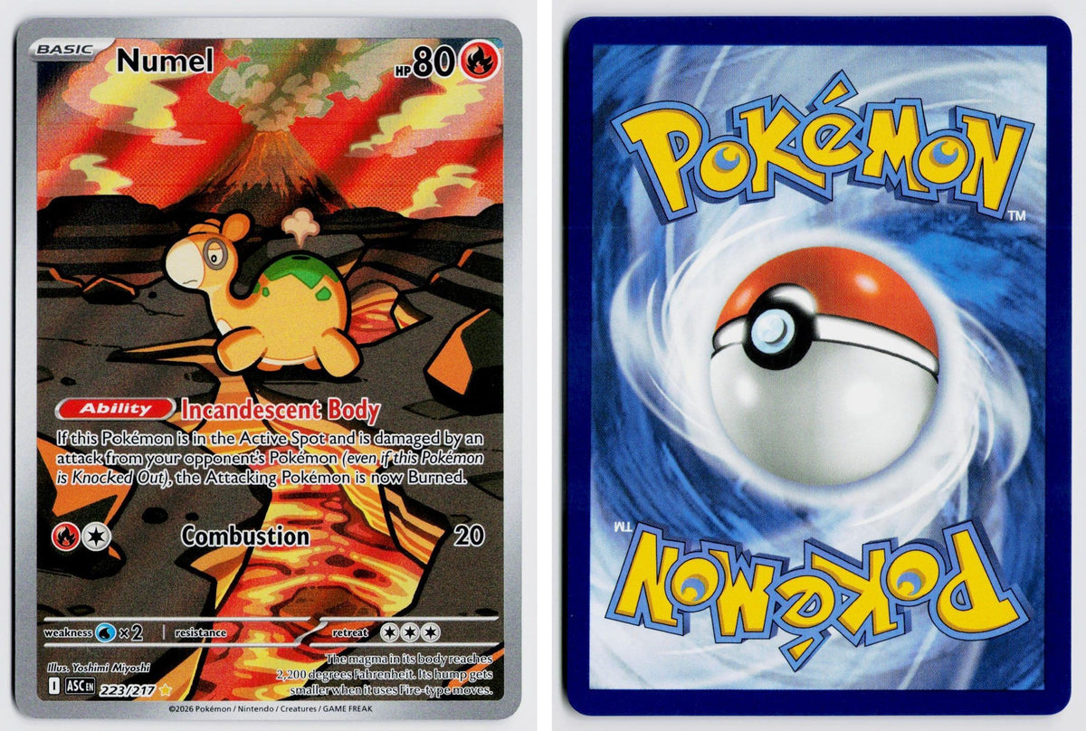 Front + Back scan | Near Mint