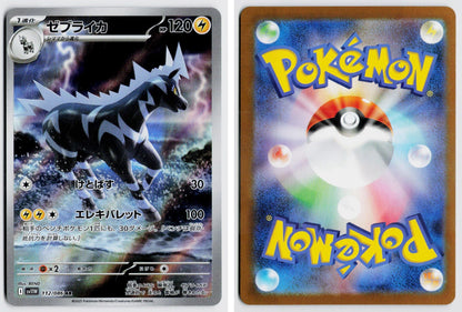 Front + Back scan