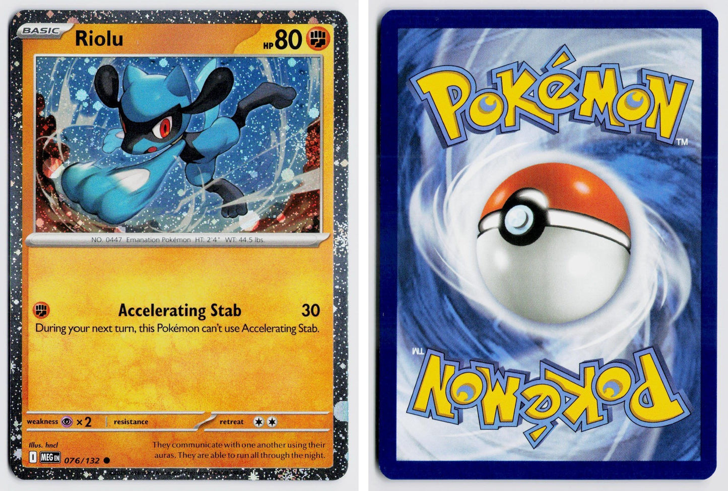 Front + Back scan