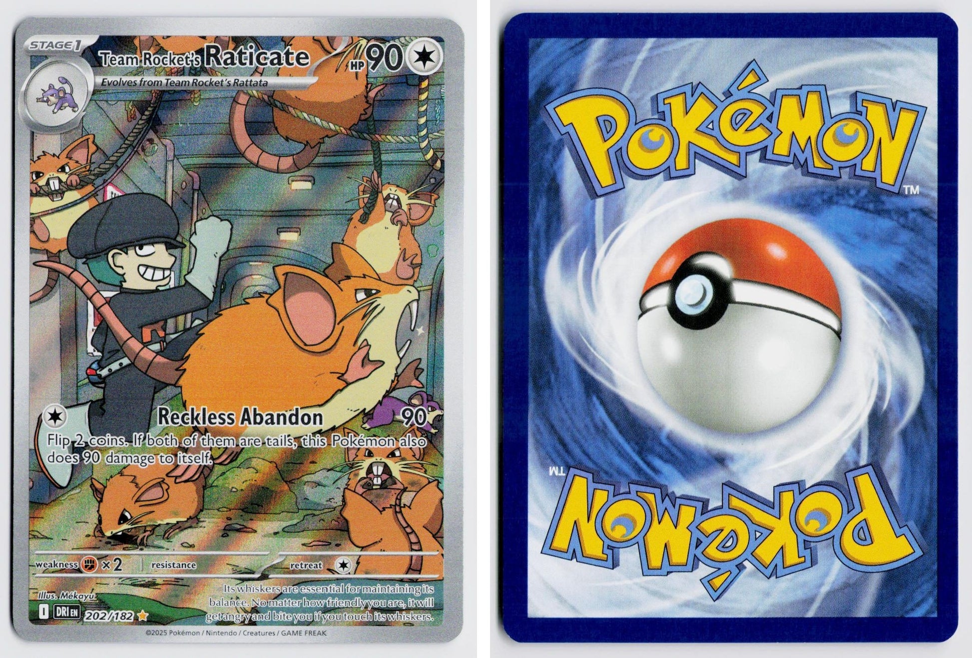 Front + Back scan