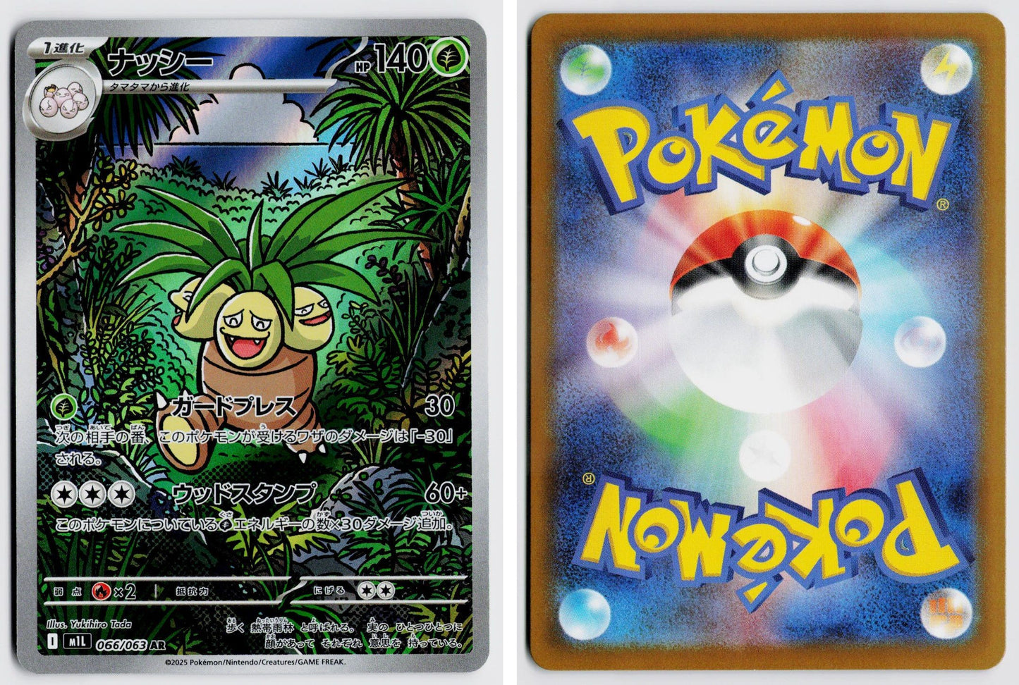 Front + Back scan