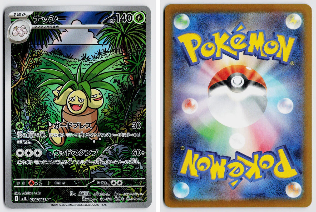 Front + Back scan