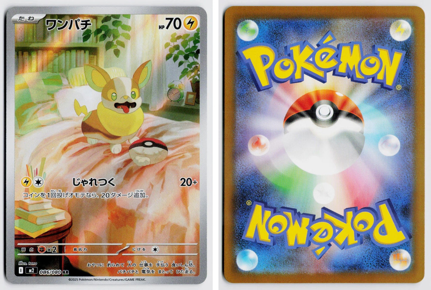 Front + Back scan