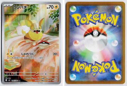 Front + Back scan