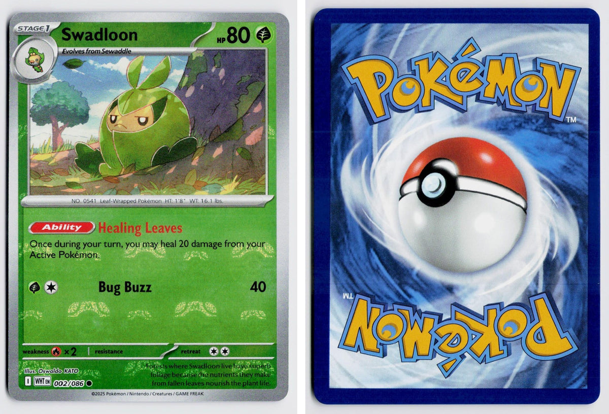Front + Back scan