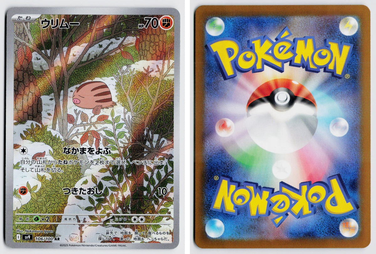 Front + Back scan
