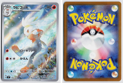 Front + Back scan