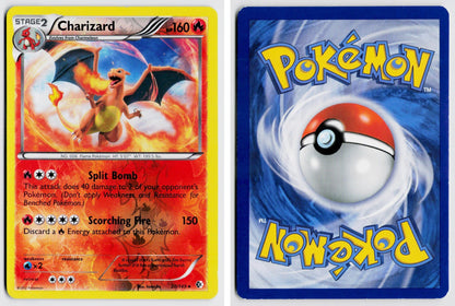 Front + Back scan
