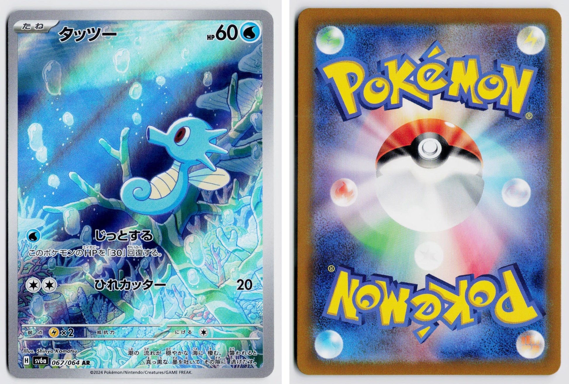 Front + Back scan