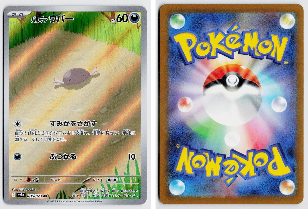 Front + Back scan