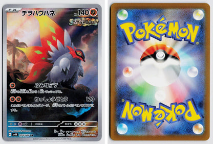 Front + Back scan