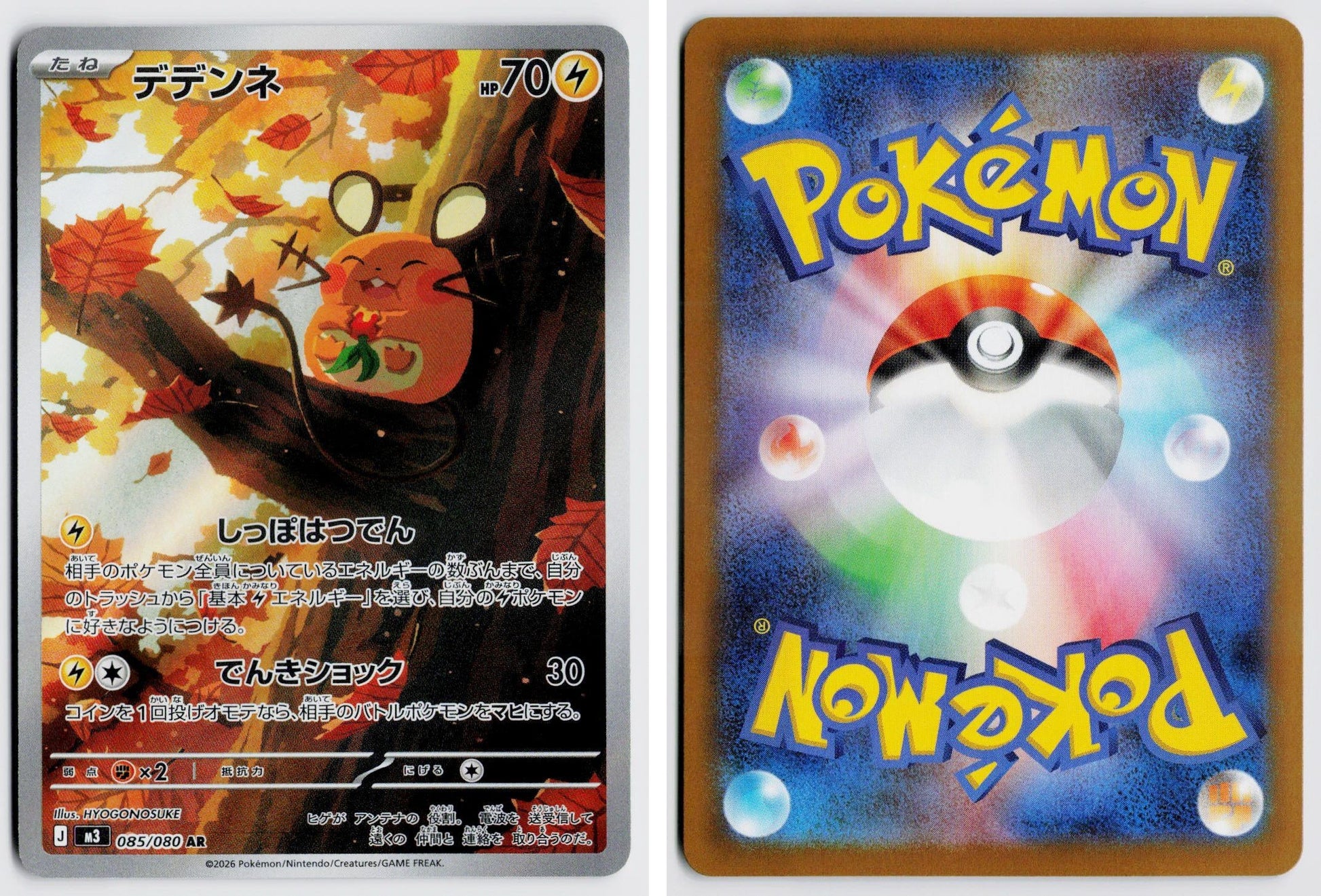 Front + Back scan
