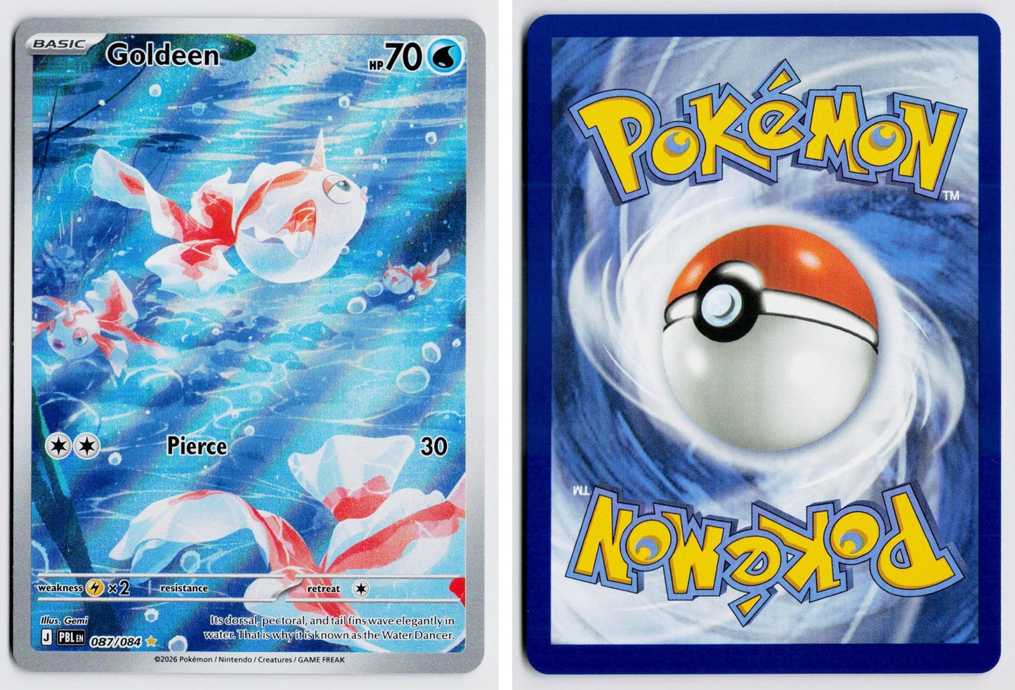 Front + Back scan