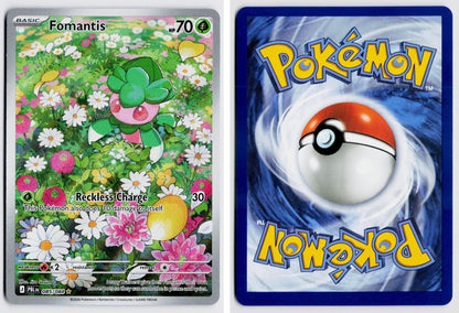 Front + Back scan