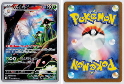 Front + Back scan
