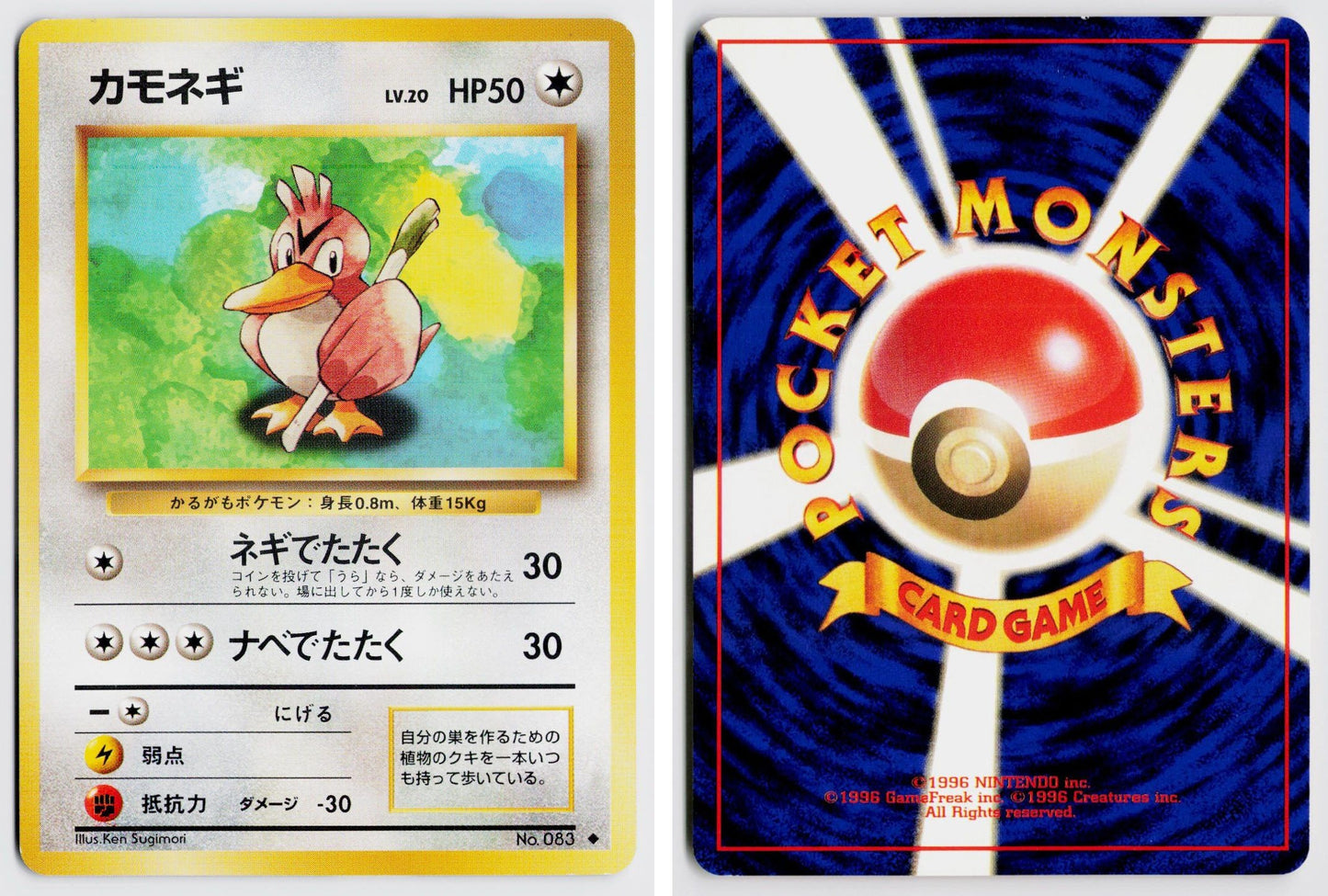 Front + Back scan