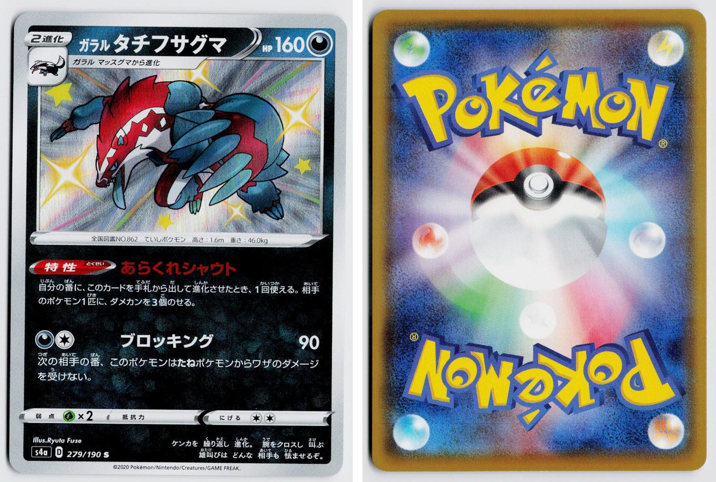 Front + Back scan