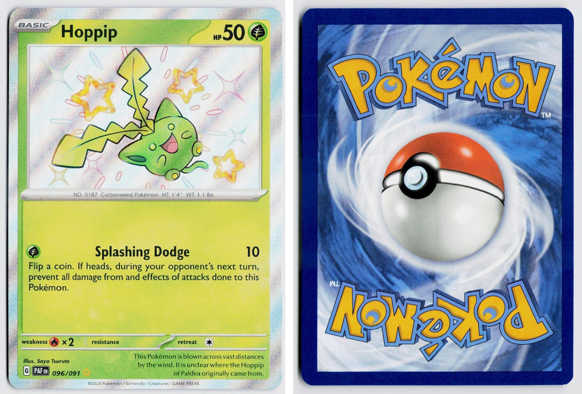 Front + Back scan