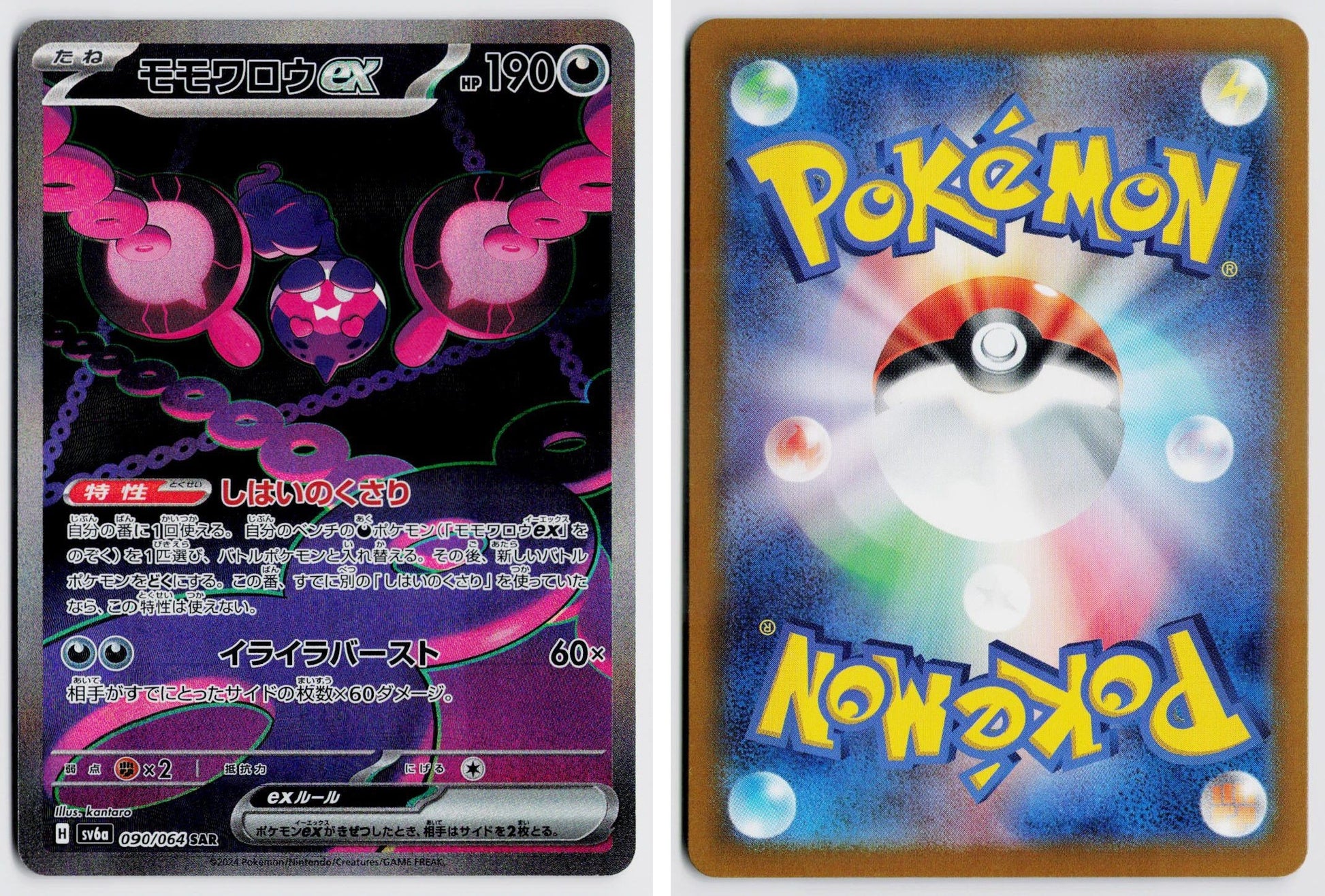 Front + Back scan