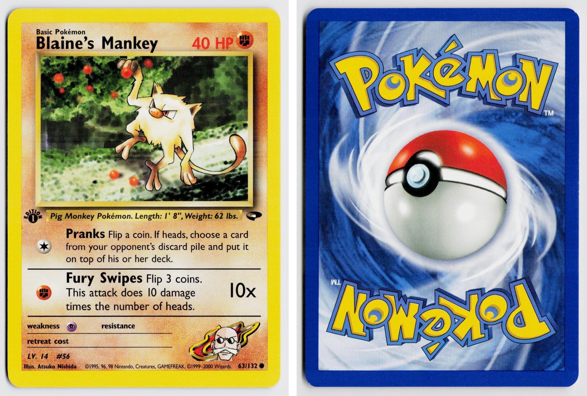 Front + Back scan