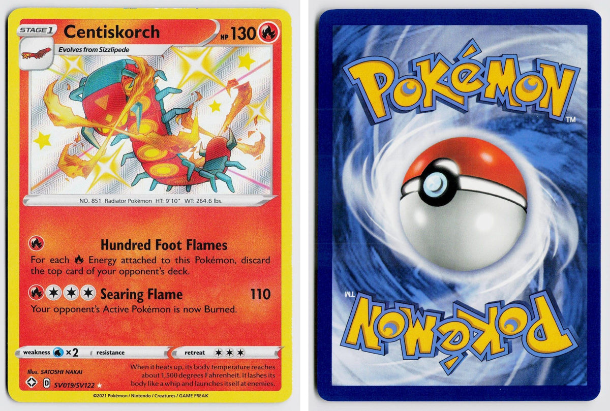 Front + Back scan