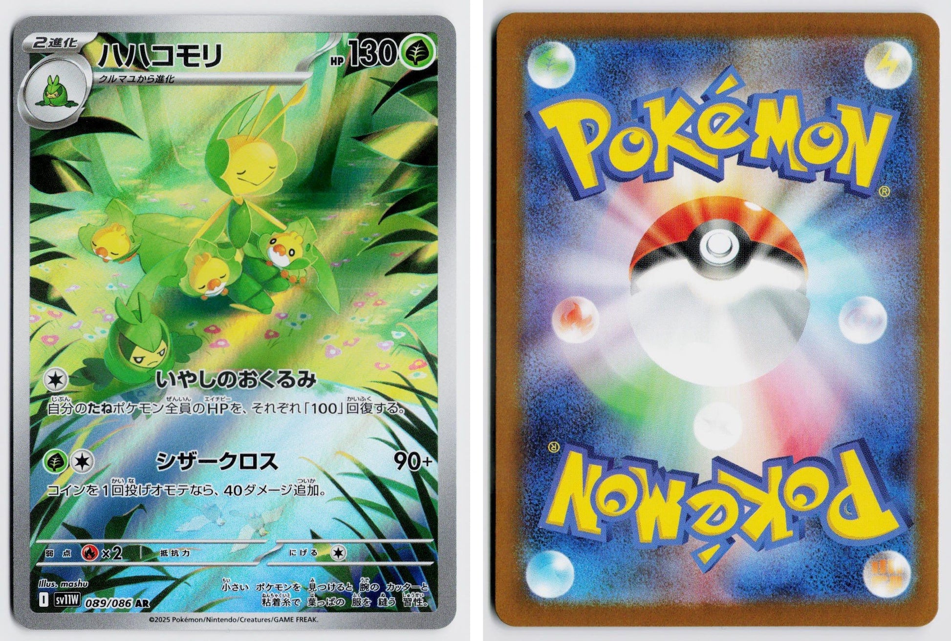 Front + Back scan