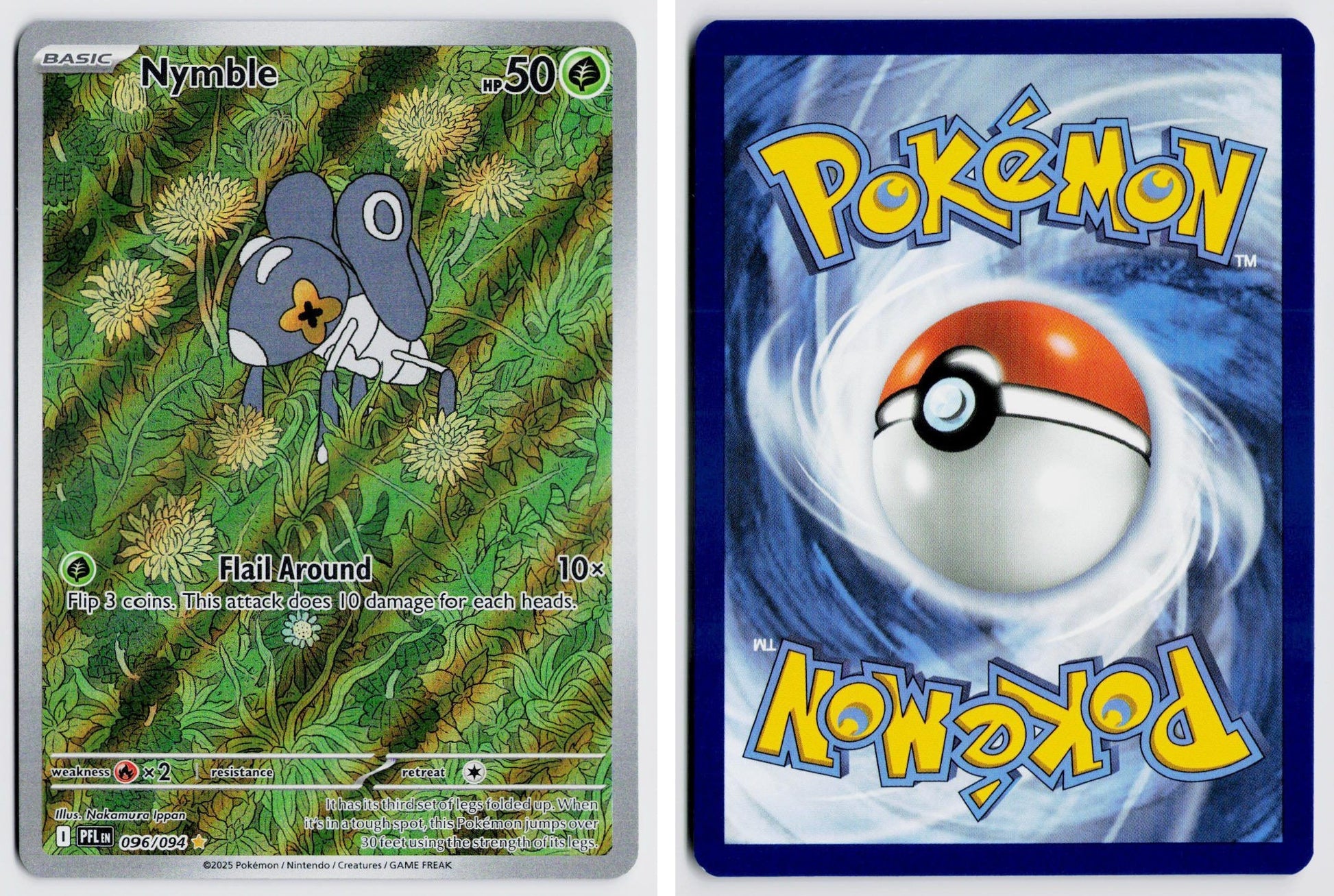 Front + Back scan