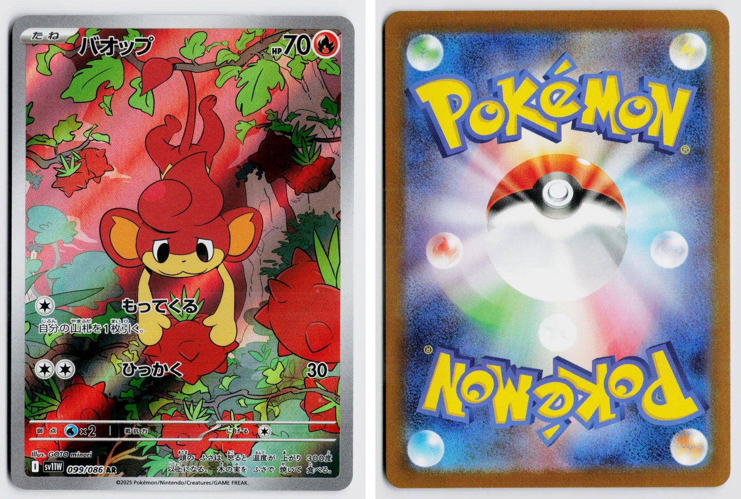 Front + Back scan