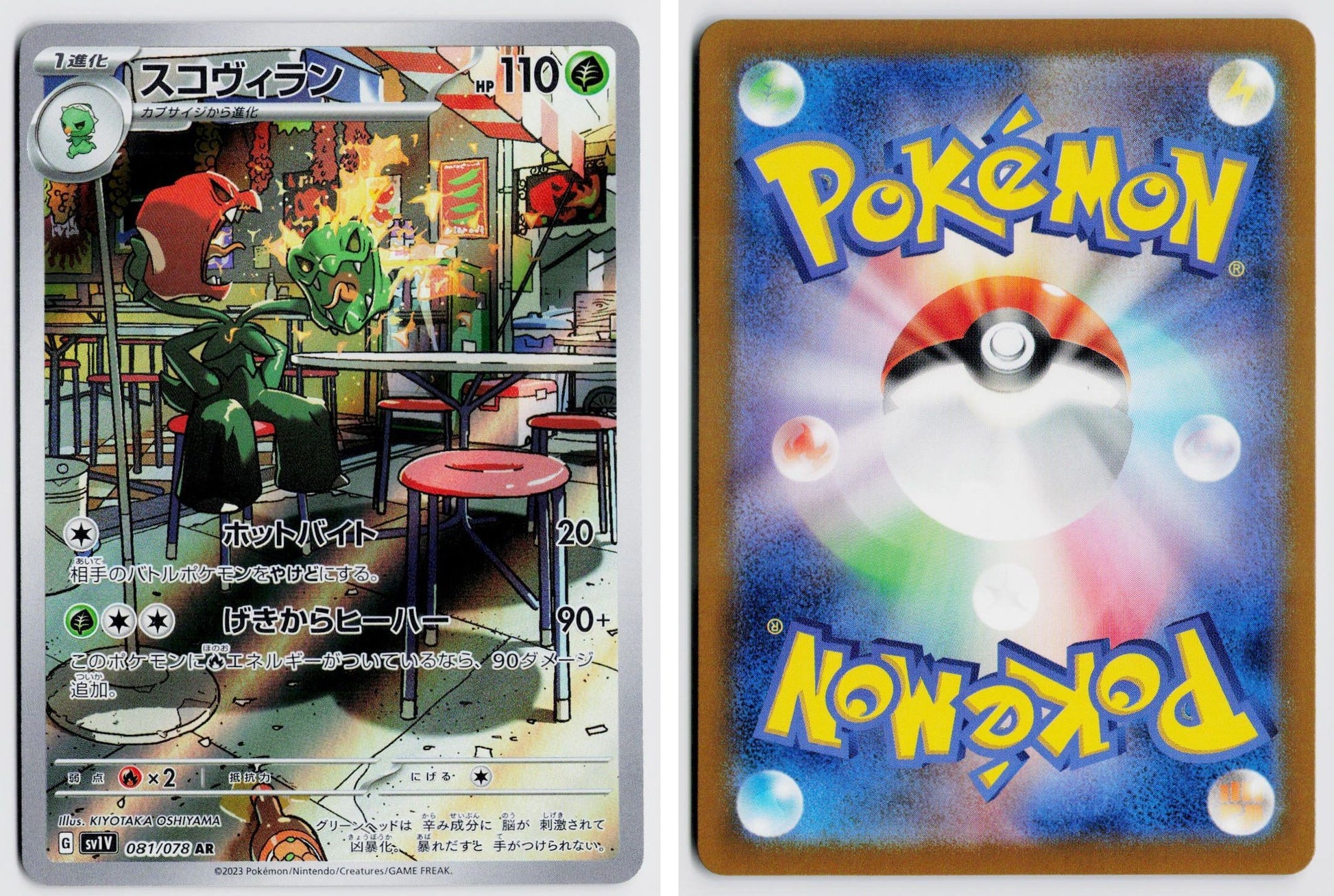 Front + Back scan
