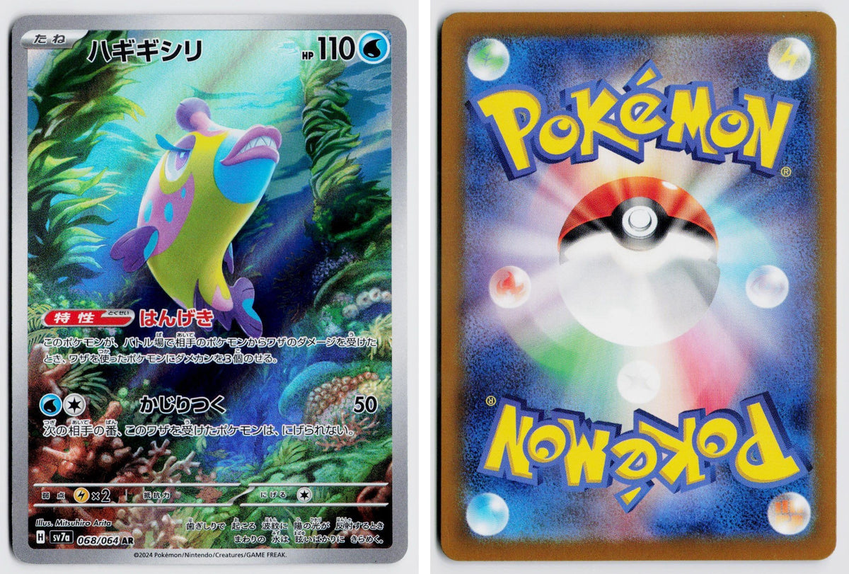 Front + Back scan