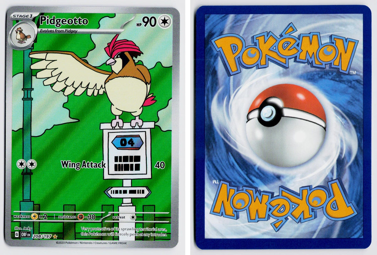 Front + Back scan