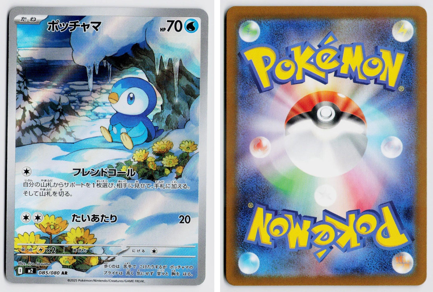 Front + Back scan