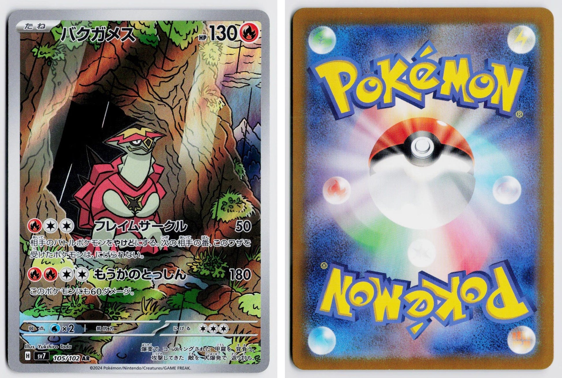 Front + Back scan