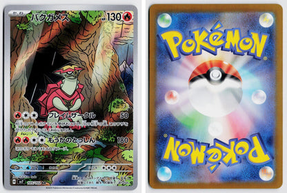 Front + Back scan