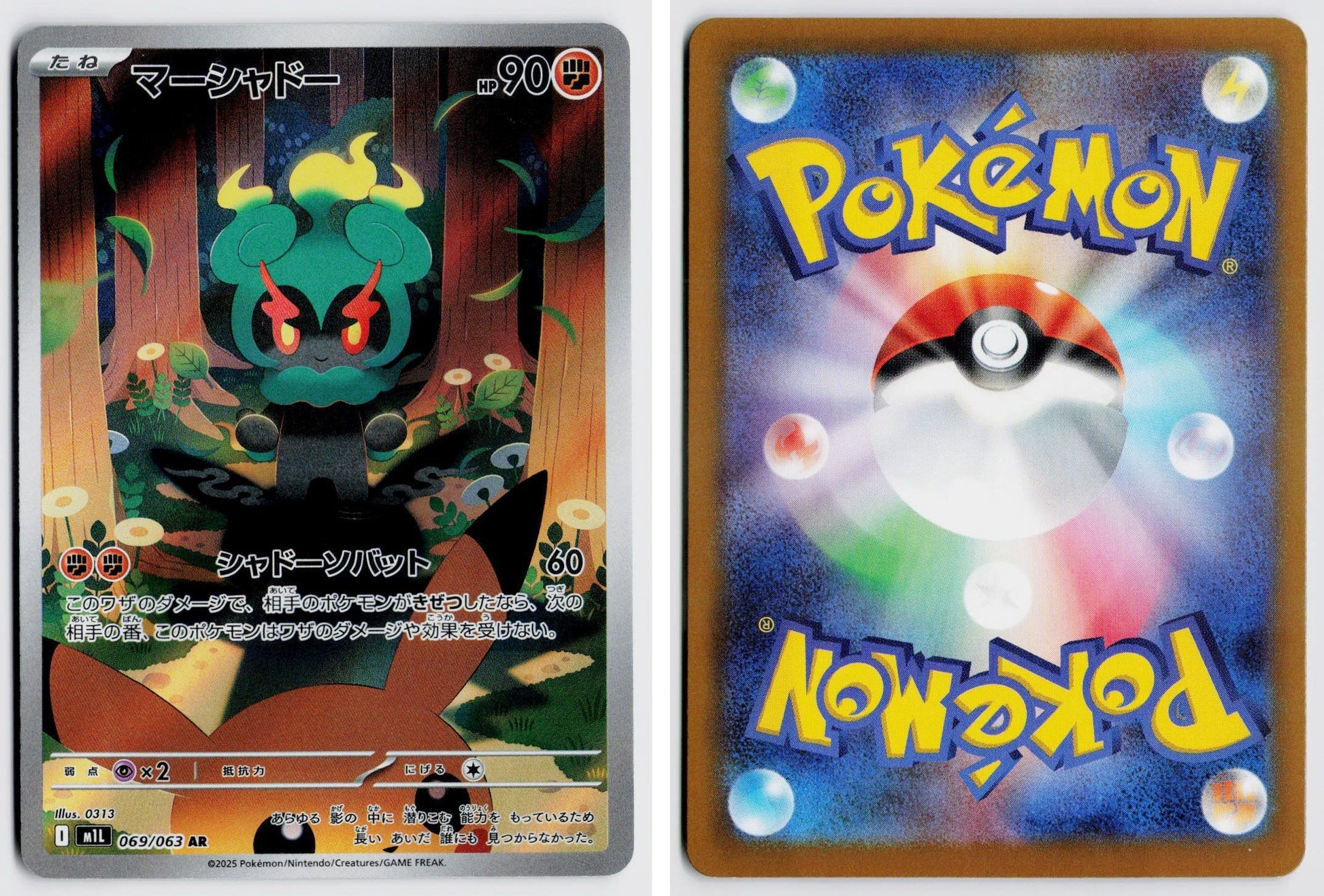 Front + Back scan