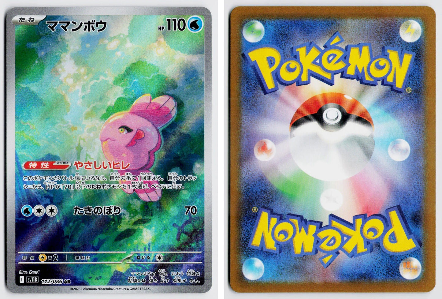 Front + Back scan