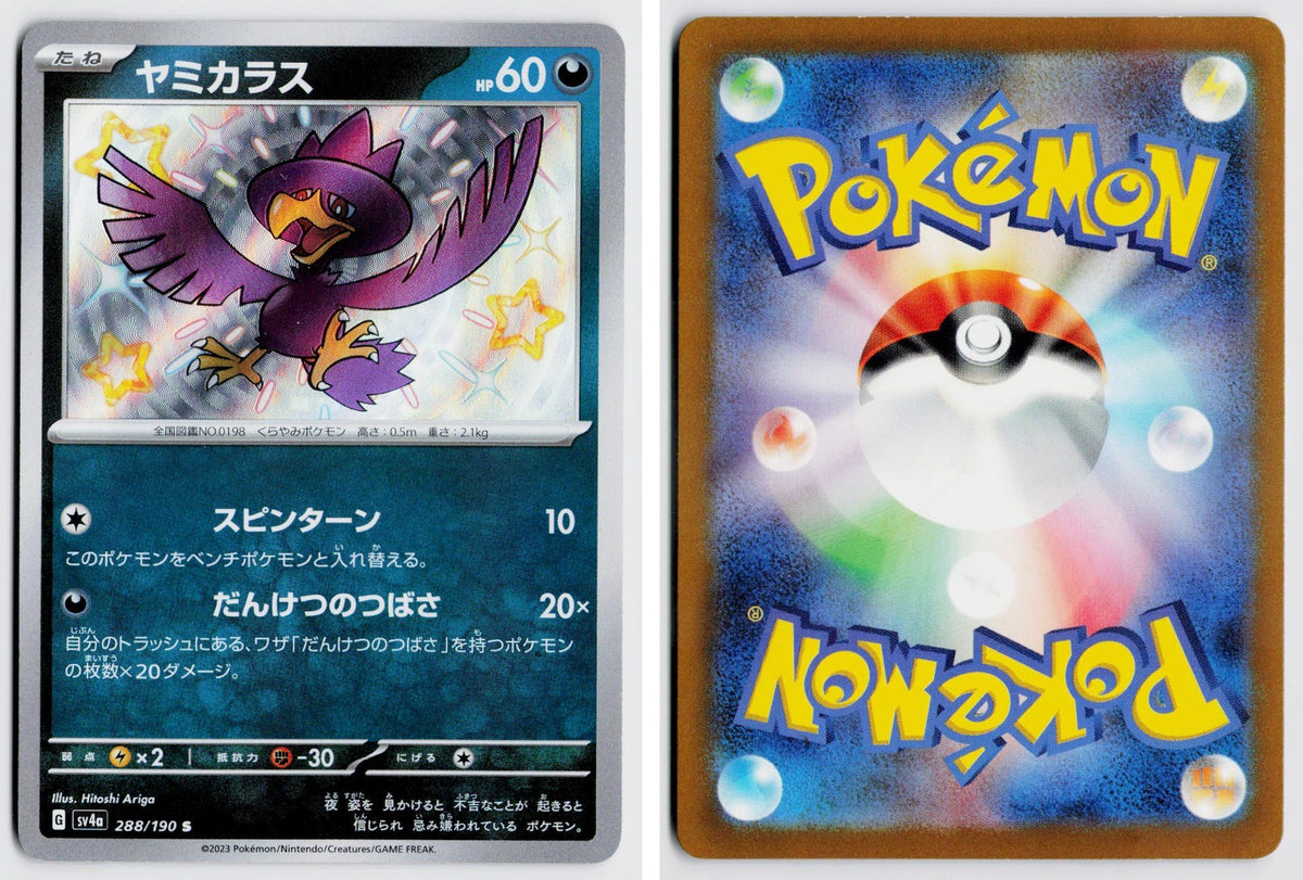 Front + Back scan