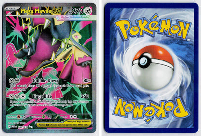 Front + Back scan