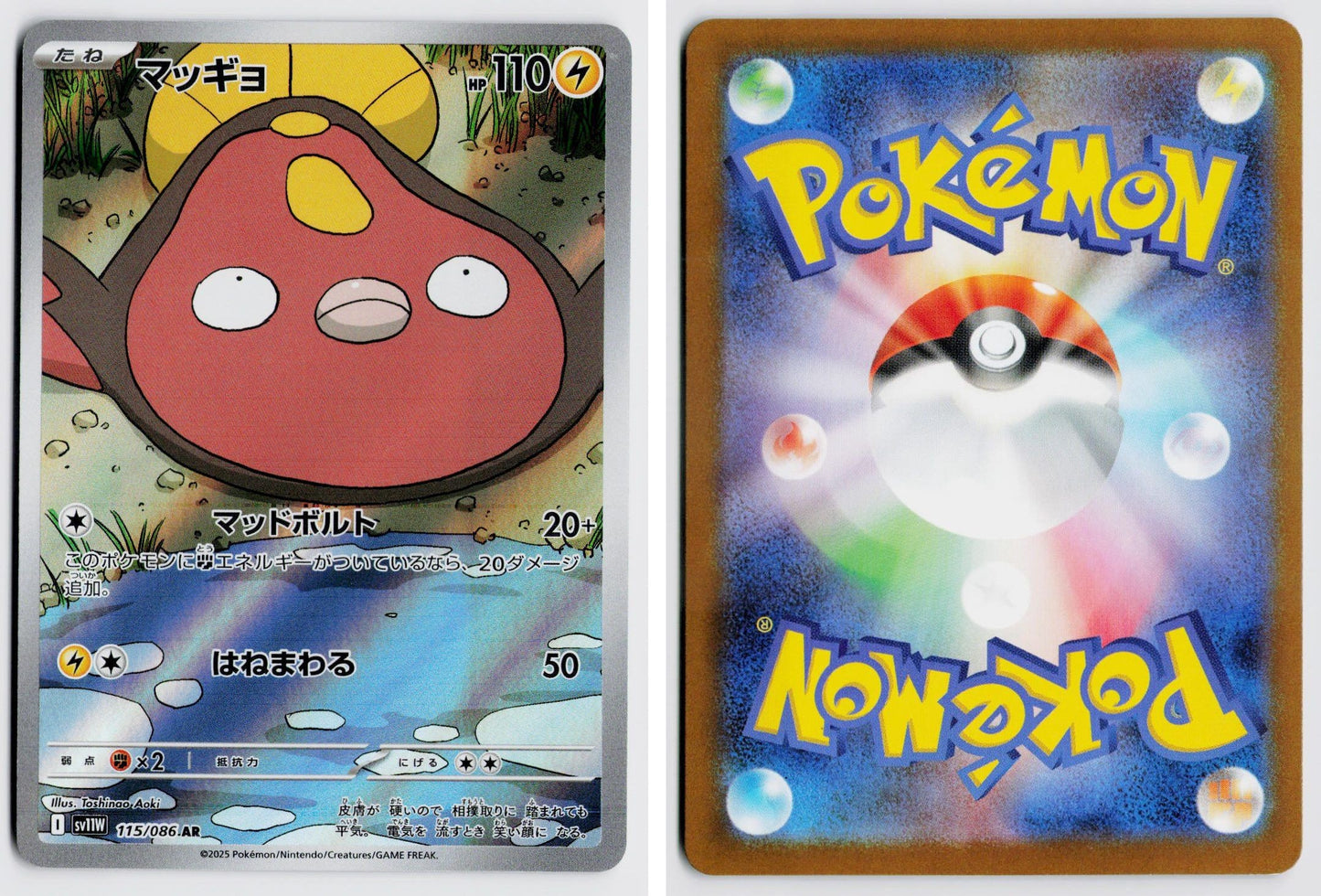 Front + Back scan