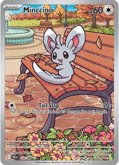 Minccino - 152/086