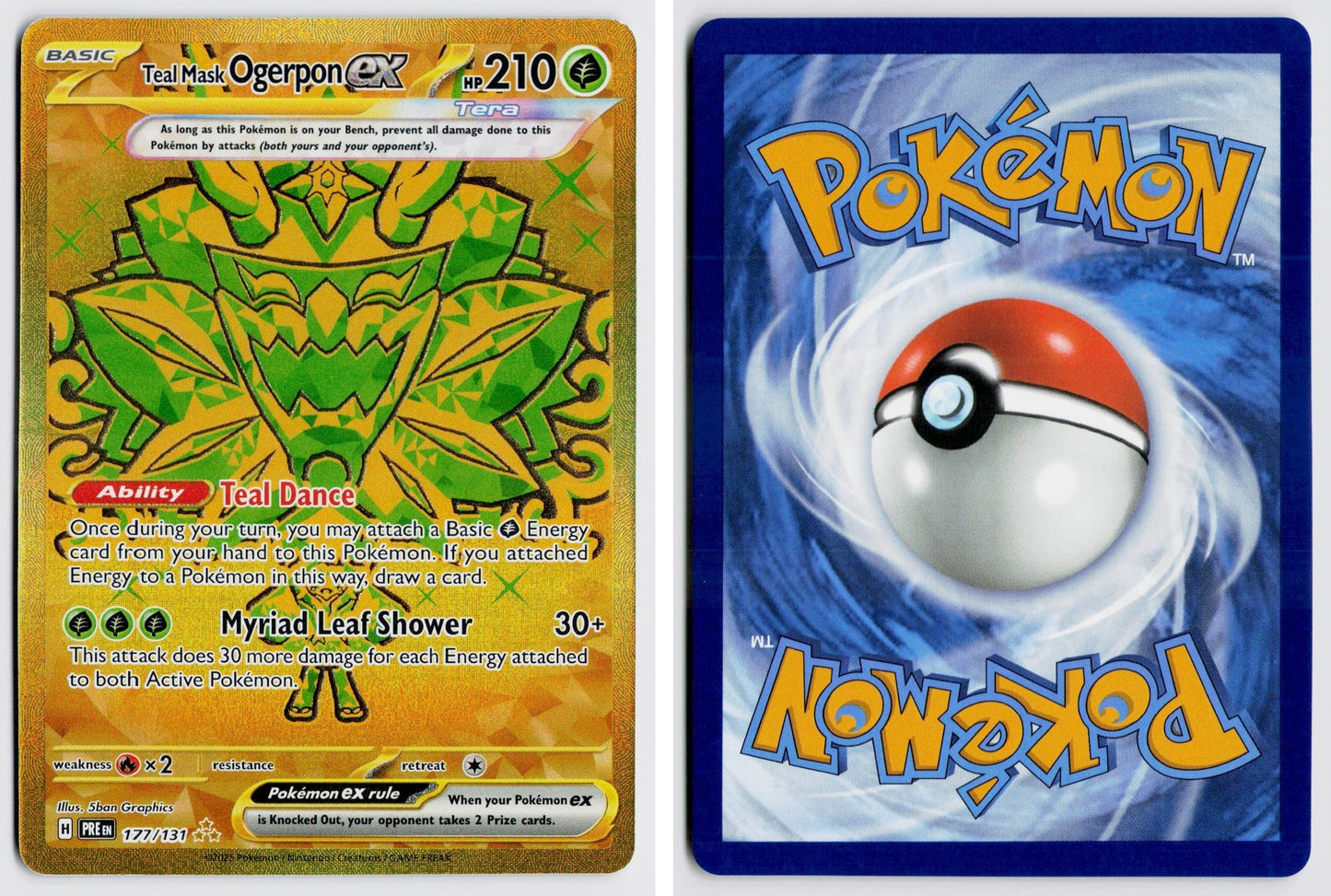 Front + Back scan