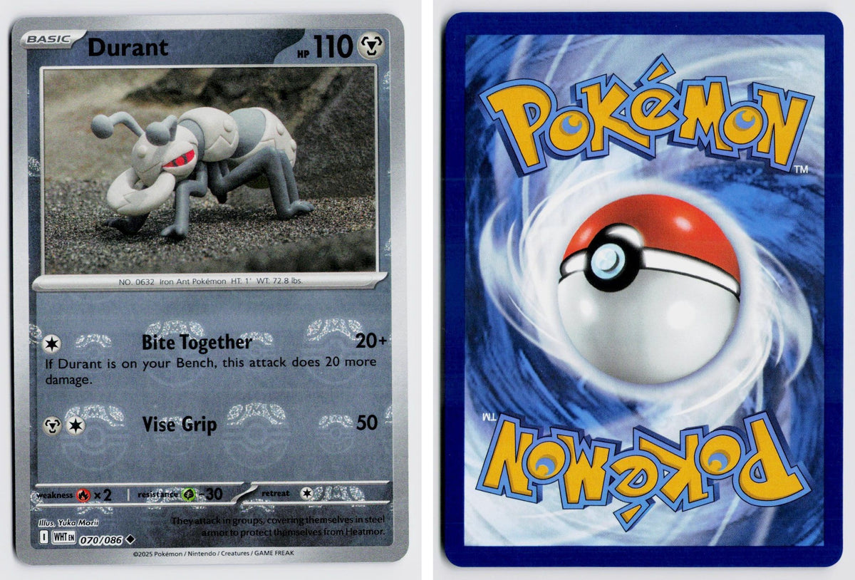 Front + Back scan