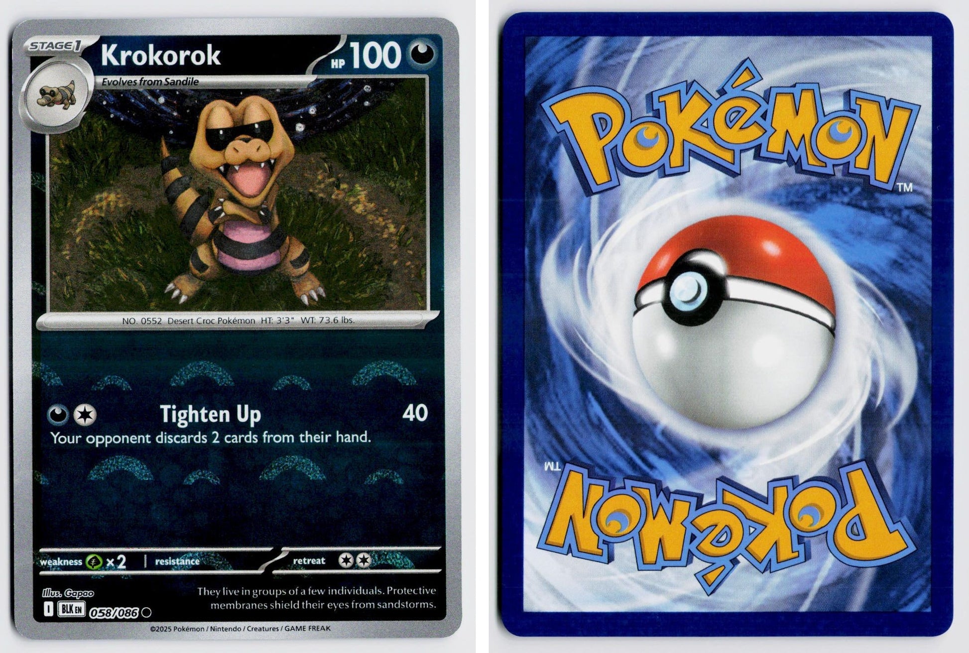 Front + Back scan