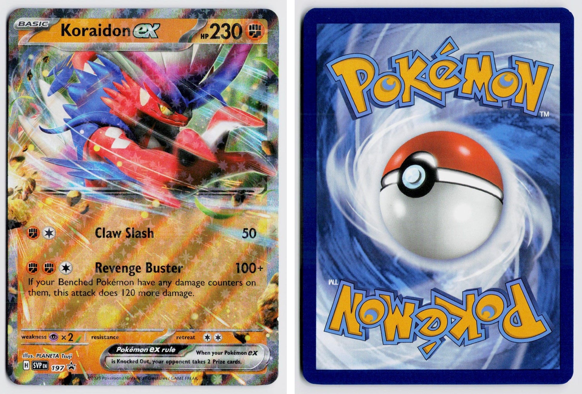 Front + Back scan