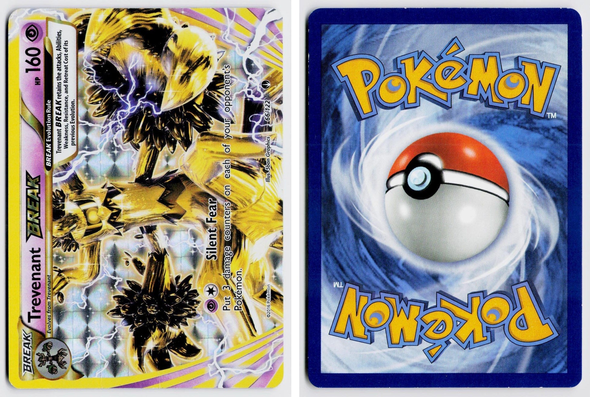 Front + Back scan