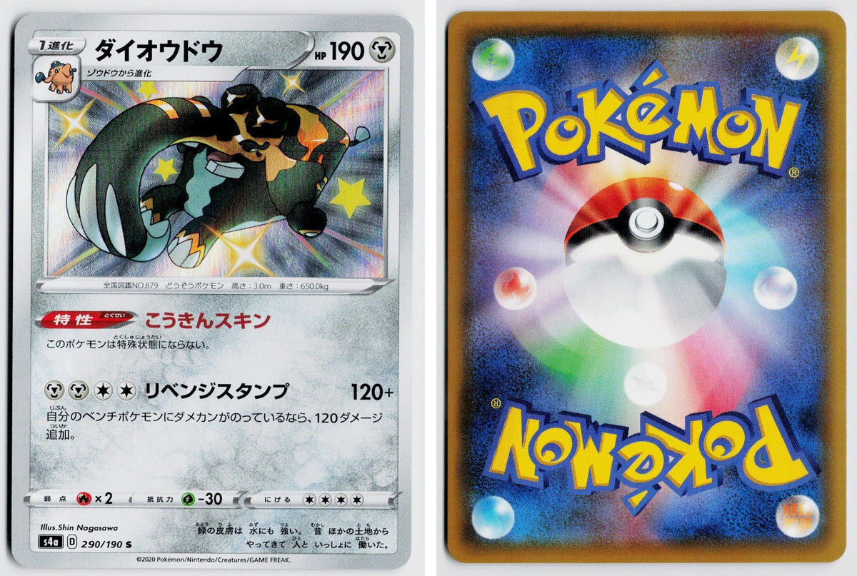 Front + Back scan