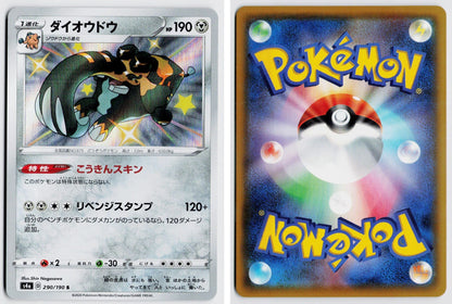 Front + Back scan