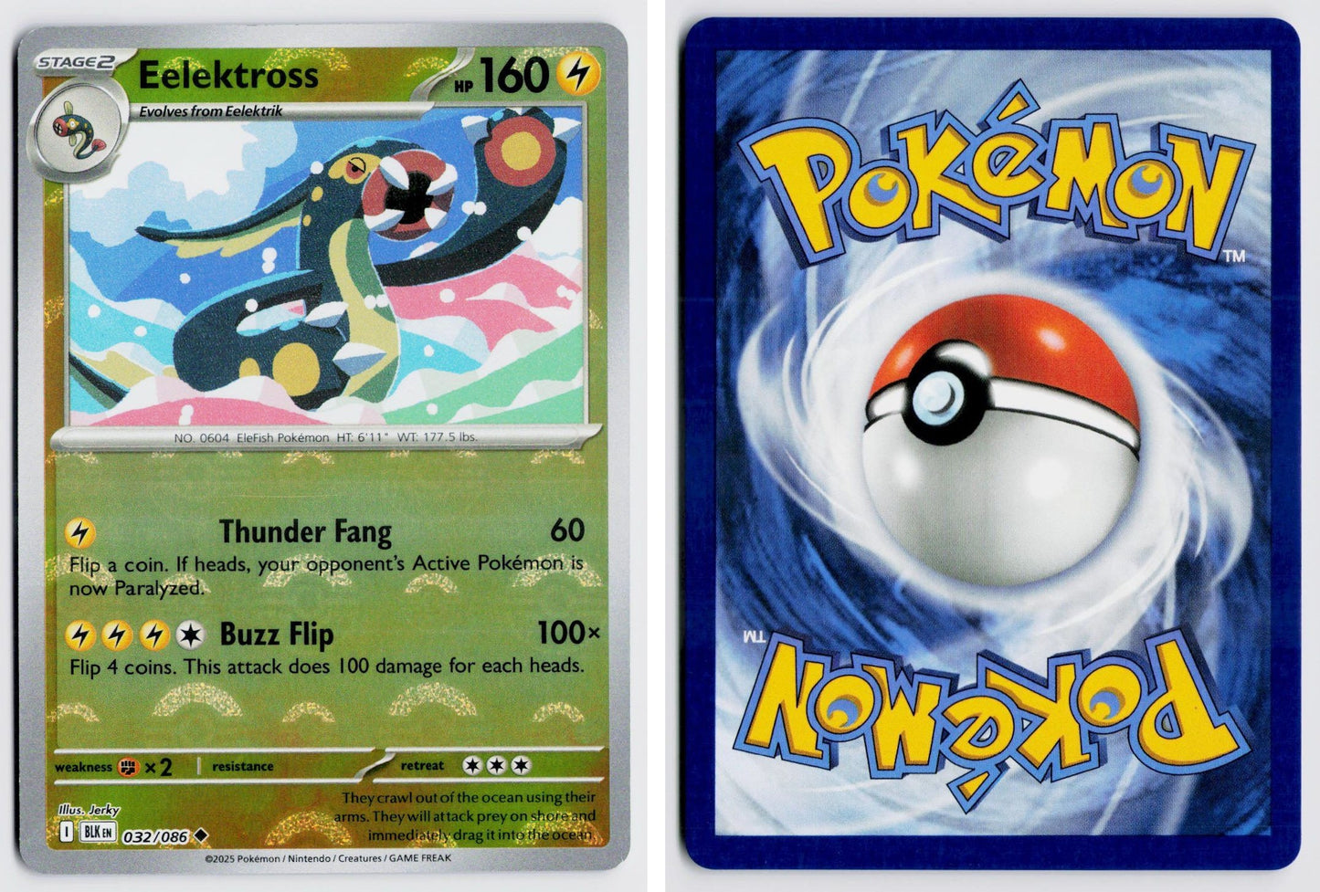 Front + Back scan
