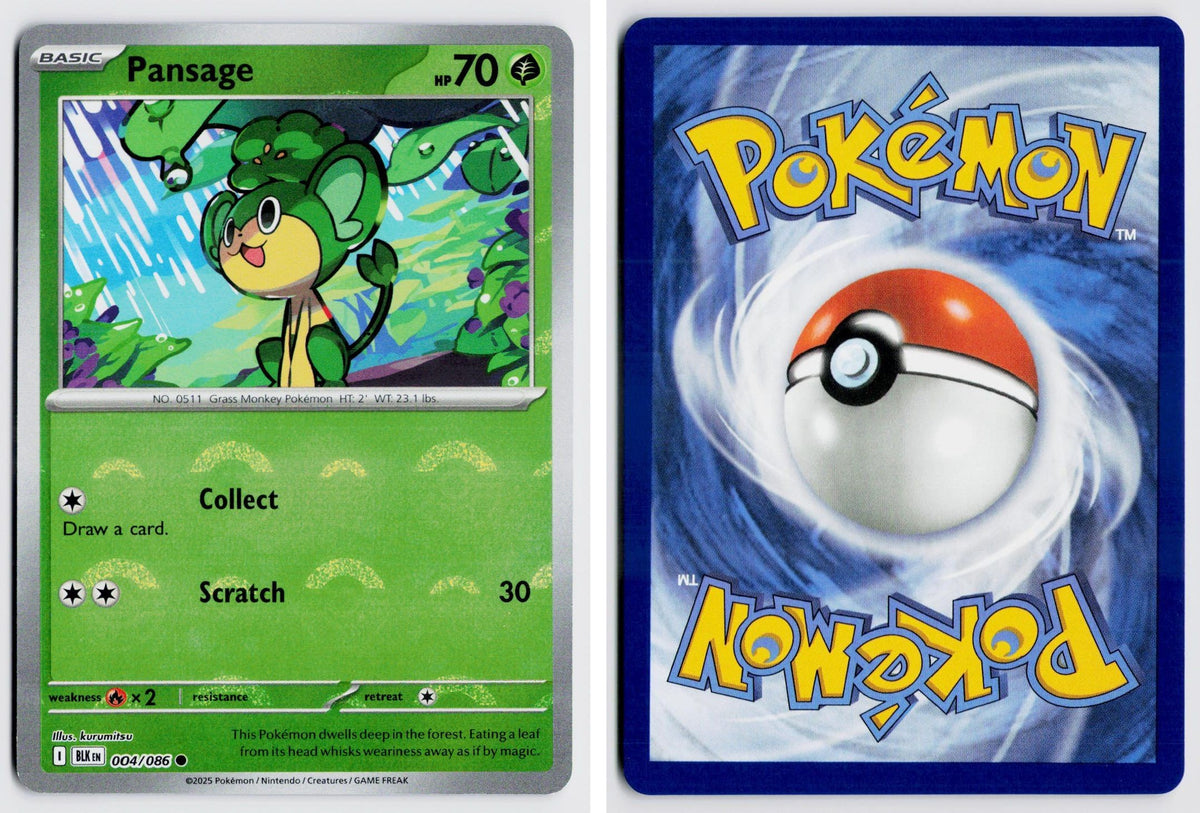 Front + Back scan