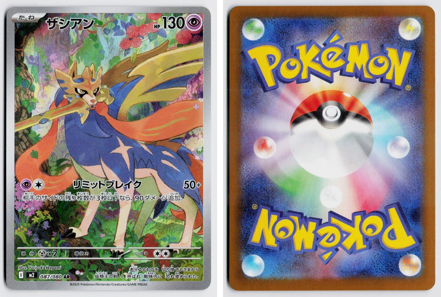Front + Back scan